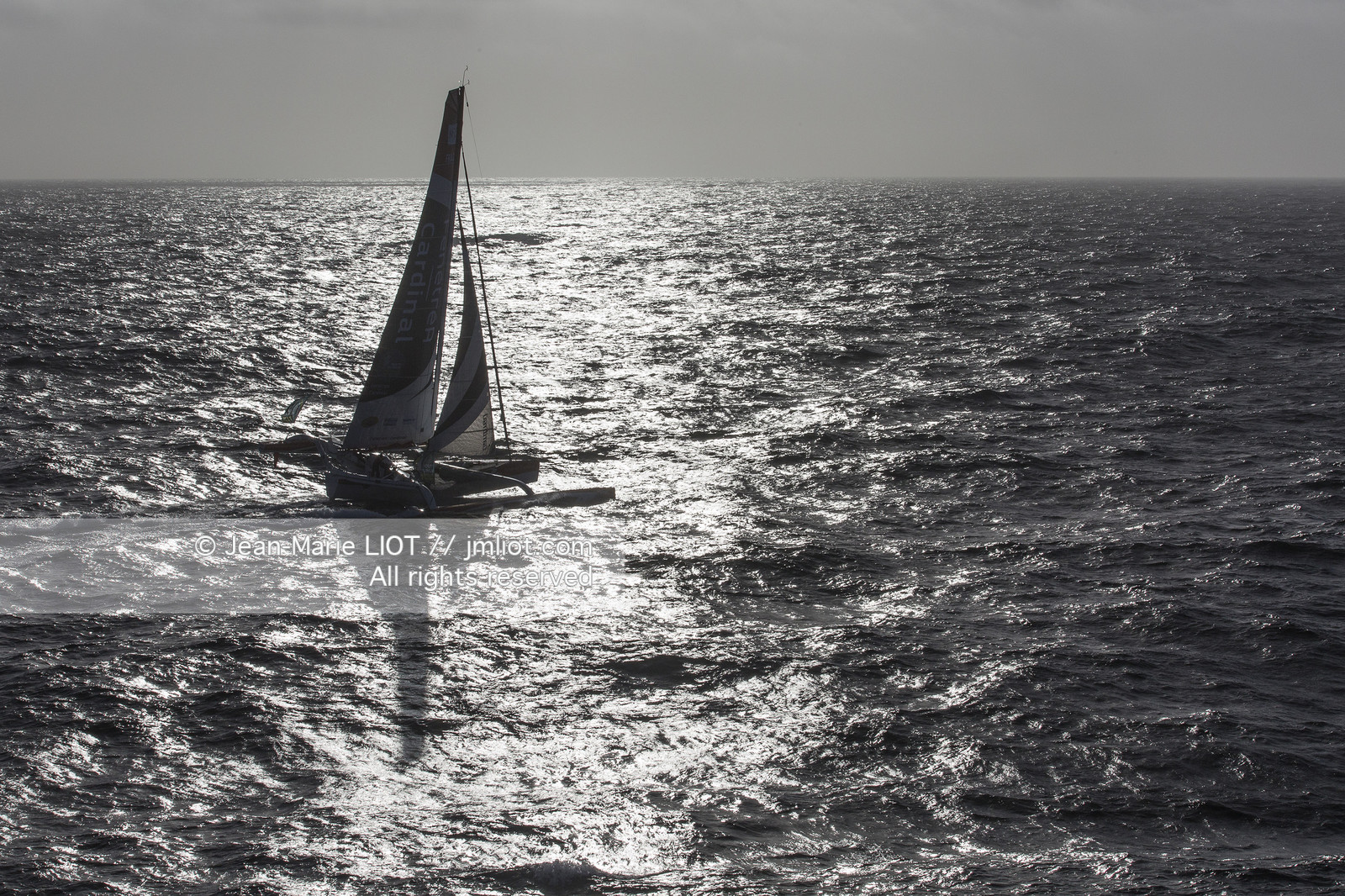 ROUTE DU RHUM 2014 - MULTI 50 FENETREA CARDINAL - ERWAN LE ROUX