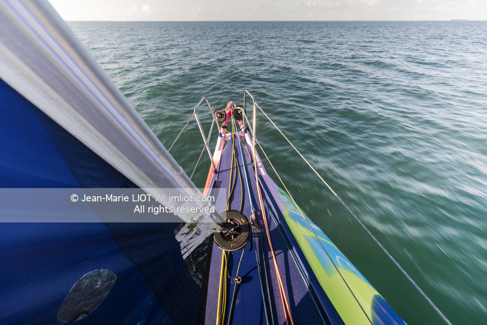 ARMEL TRIPON 2025 - LES PETITS DOUDOUS