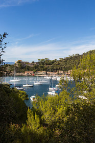 Port-Cros, au large d'Hyères dans le département du Var, petite île de 4 km de long est une réserve de la faune et la flore. Photo © Jean-Marie Liot.