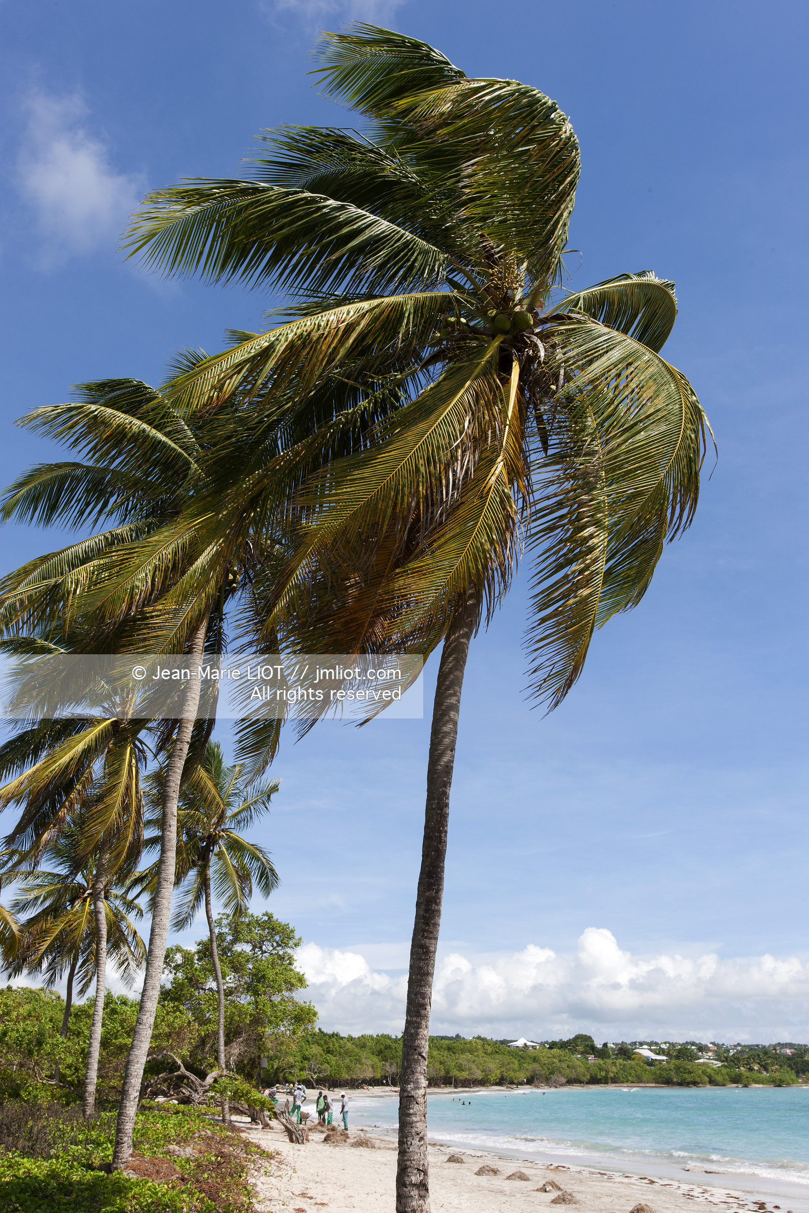 La Guadeloupe est un departement français d'Outre Mer situe dans l'archipel des Antilles. L'ile est bordee d'une part par la Mer des Caraïbes et l'Ocean Atlantique..La guadeloupe est composé de deux îles: la Grande-Terre et la Basse-Terre..Photo © Jean-Marie Liot.