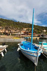 Port-Cros, au large d'Hyères dans le département du Var, petite île de 4 km de long est une réserve de la faune et la flore. Photo © Jean-Marie Liot.