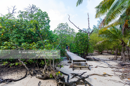 CROISIERE AUX ILES SEYCHELLES