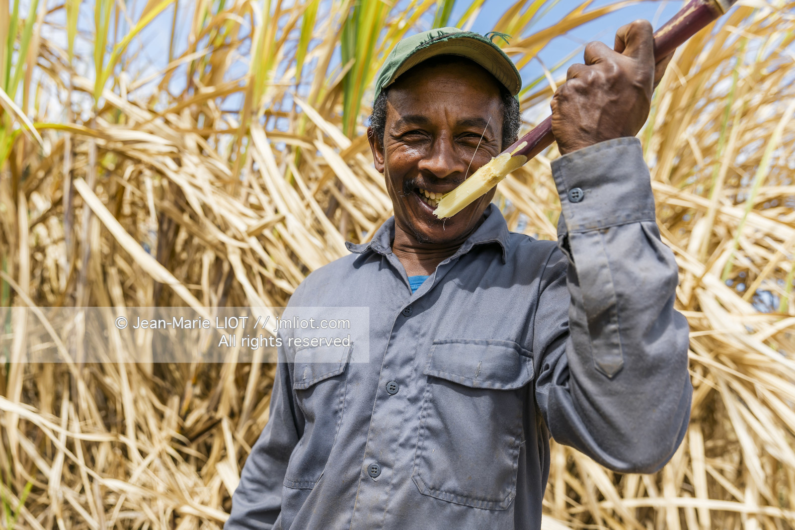 GLOBE40 - ILE MAURICE