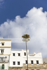 MAROC - TANGER - MEDINA