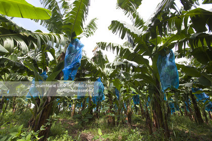 101107GUAD_4J9T9909 .jpg