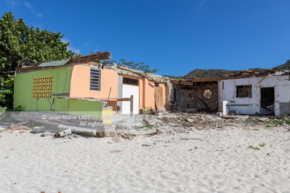 BRITISH VIRGIN ISLANDS 2019