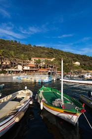 Port-Cros, au large d'Hyères dans le département du Var, petite île de 4 km de long est une réserve de la faune et la flore. Photo © Jean-Marie Liot.