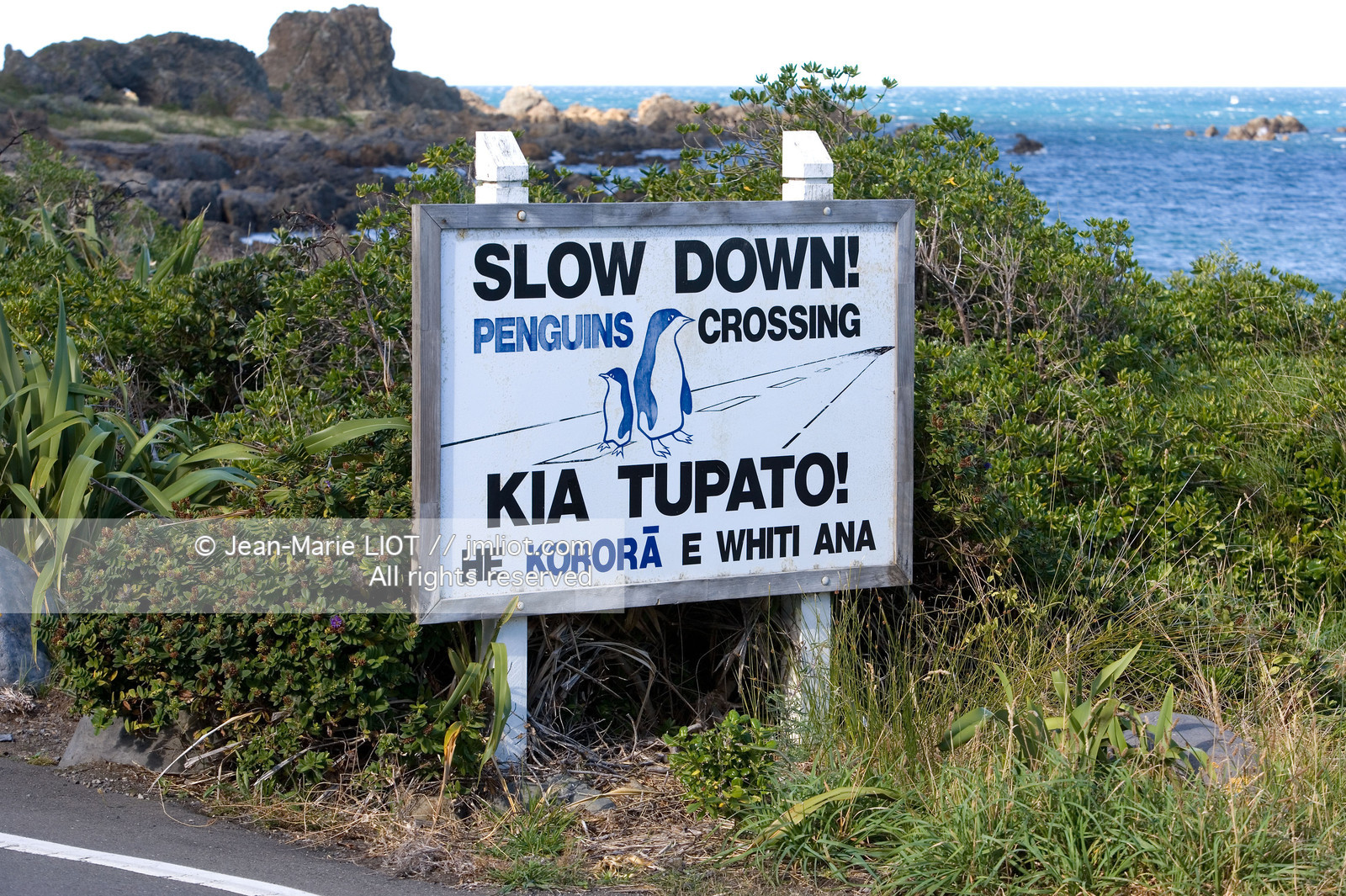 WELLINGTON-NOUVELLE ZELANDE