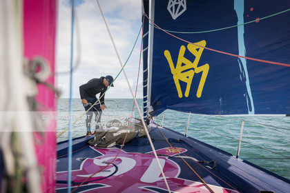 ARMEL TRIPON 2025 - LES PETITS DOUDOUS