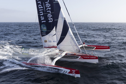 ROUTE DU RHUM 2014 - MULTI 50 FENETREA CARDINAL - ERWAN LE ROUX