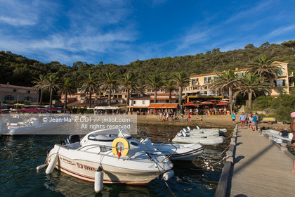 Port-Cros, au large d'Hyères dans le département du Var, petite île de 4 km de long est une réserve de la faune et la flore. Photo © Jean-Marie Liot.