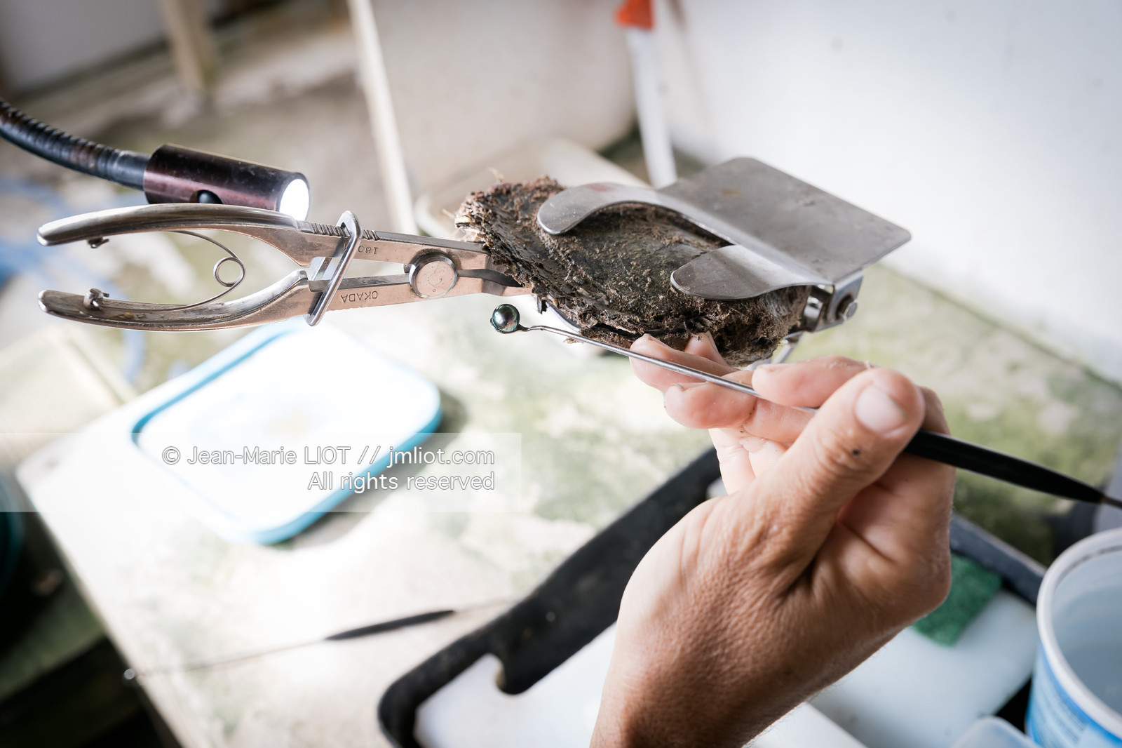 CROISIERE TAHITI - ILES DE LA SOCIETE