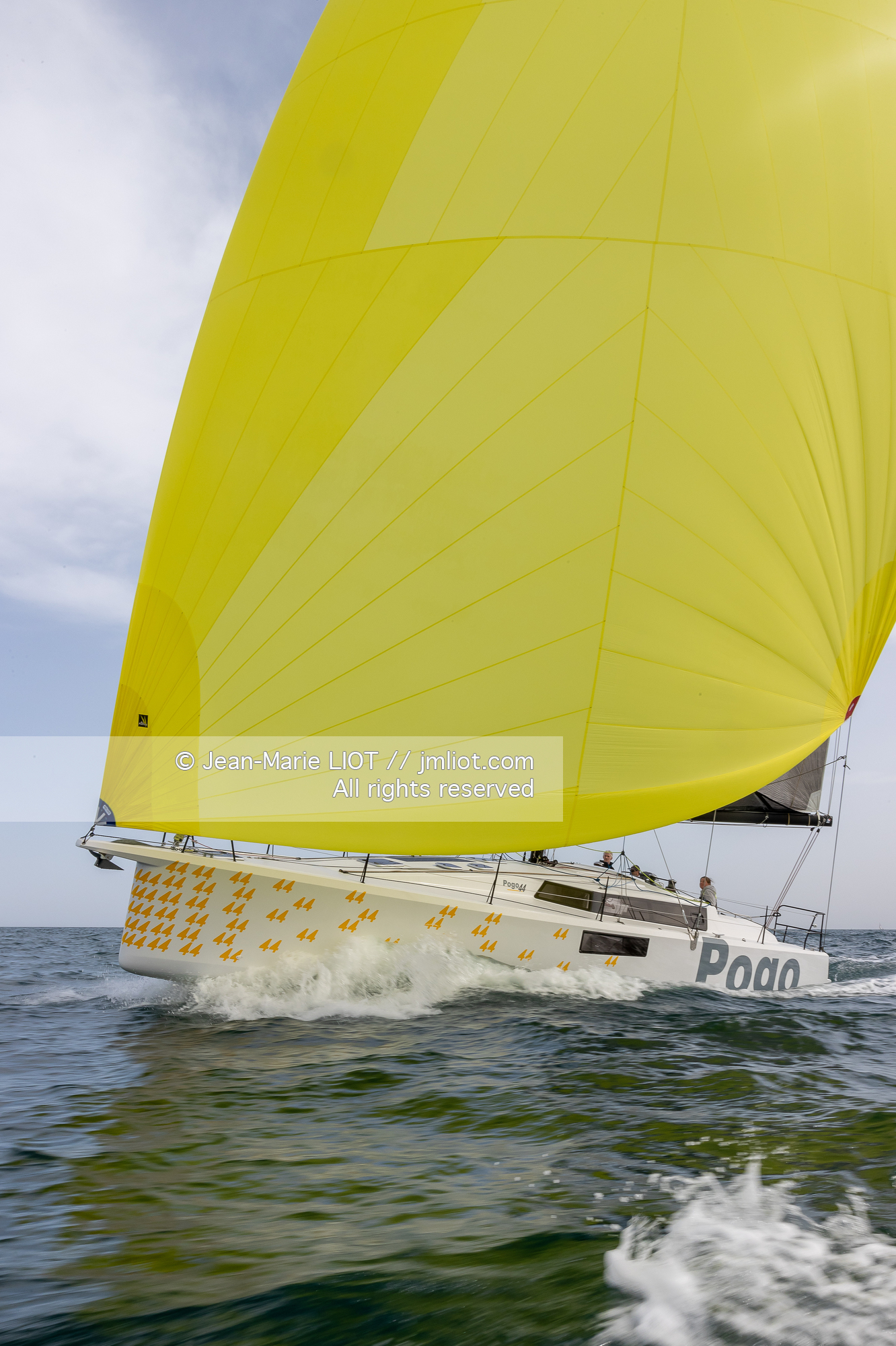 POGO 44