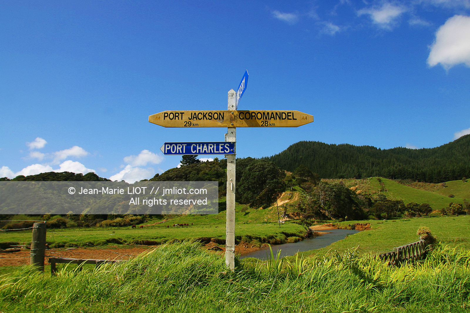 NOUVELLE ZELANDE - COROMANDEL