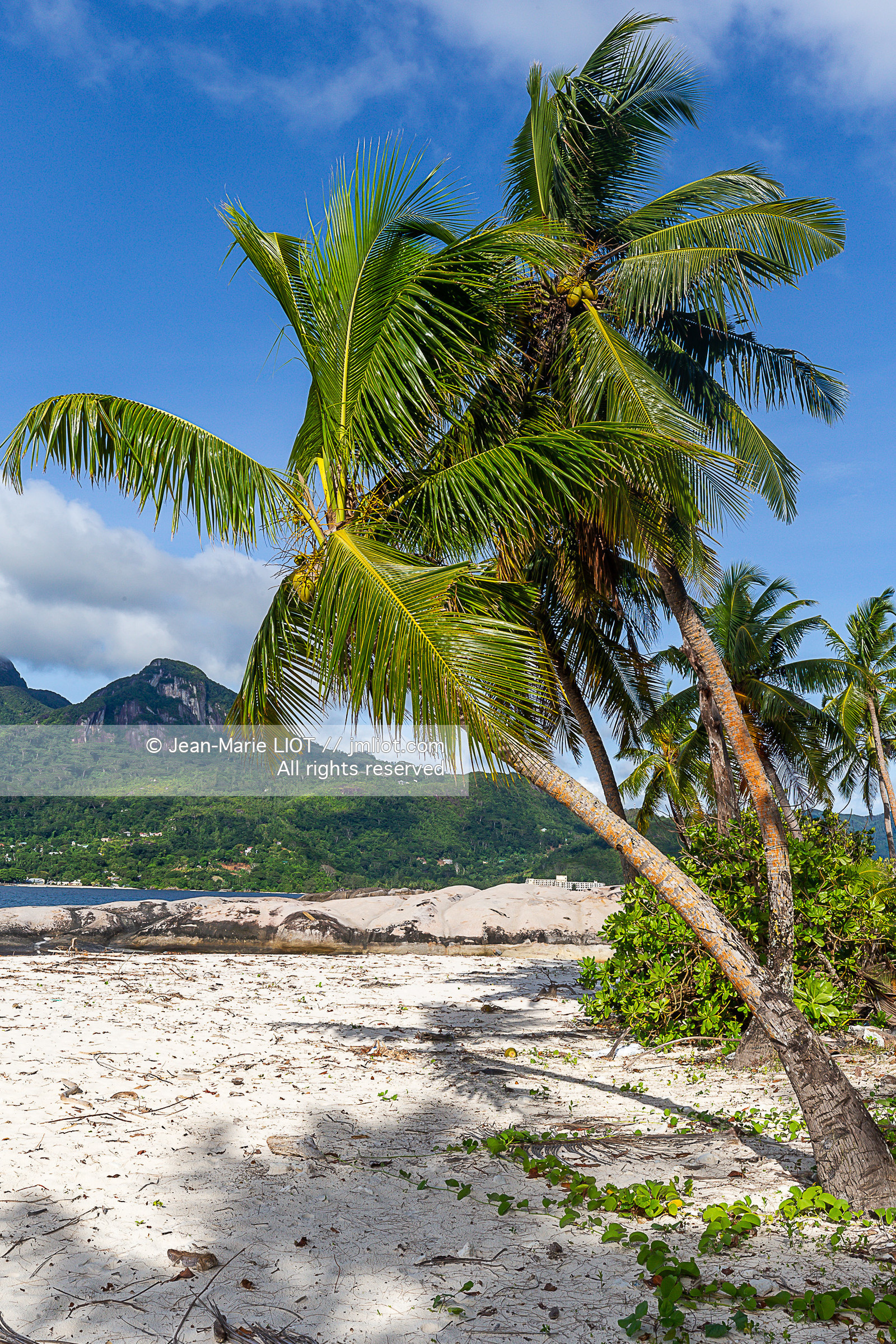 CROISIERE AUX ILES SEYCHELLES