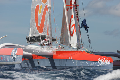 ROUTE DU RHUM 2010 - MAXI TRIMARAN SODEBO - THOMAS COVILLE