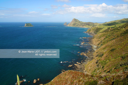 NOUVELLE ZELANDE - COROMANDEL