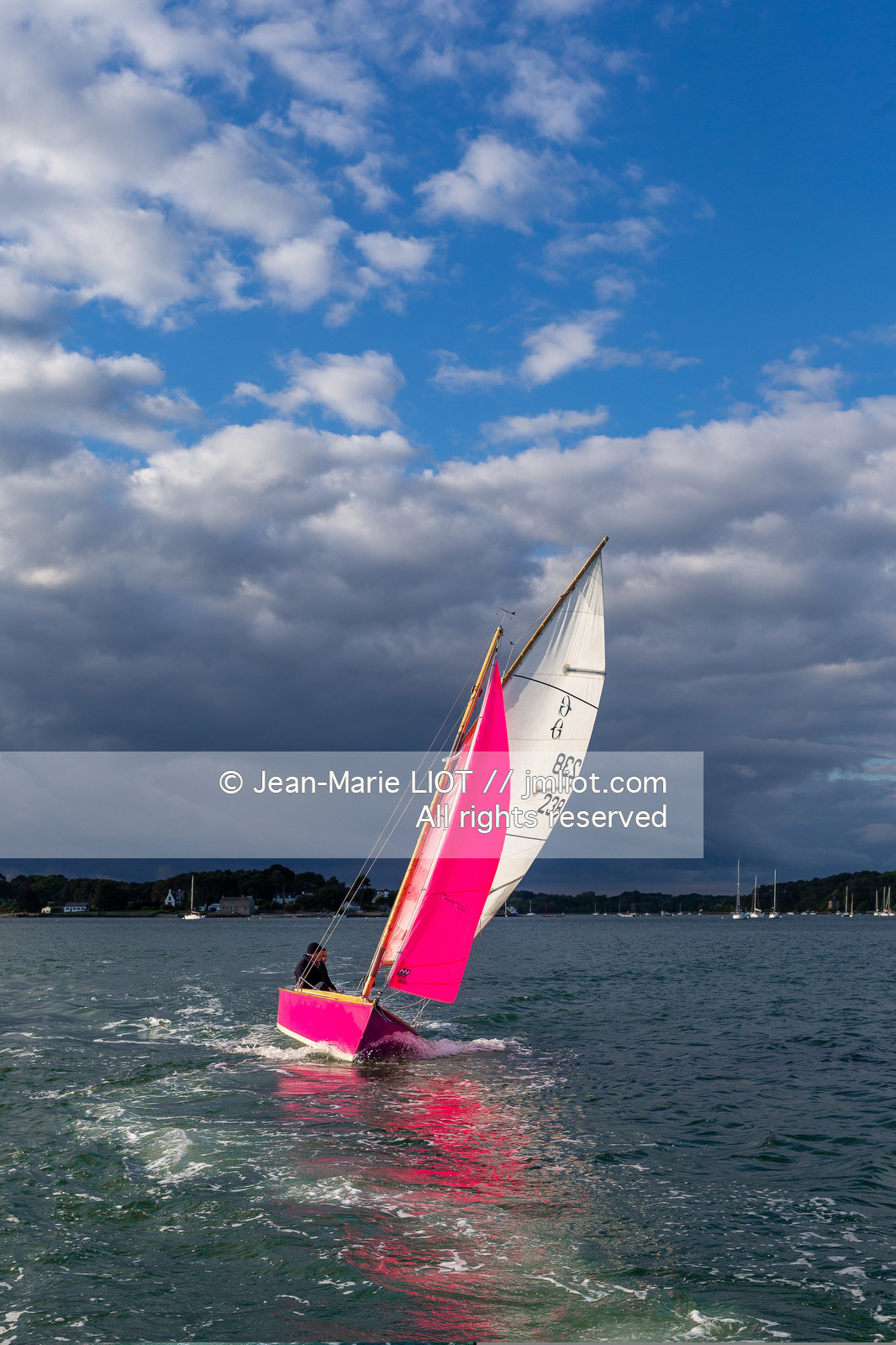GOLFE DU MORBIHAN EN GAZELLE