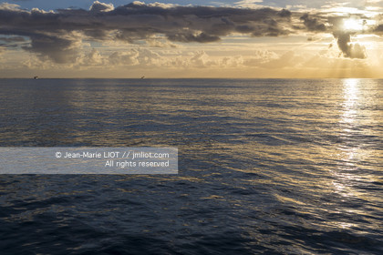 DUFOUR 382 TEST - YACHT