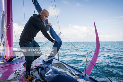 ARMEL TRIPON 2025 - LES PETITS DOUDOUS