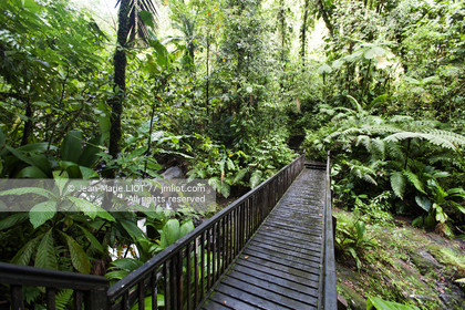 101107GUAD_4J9T9952 .jpg