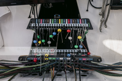 ARMEL TRIPON 2025 - LES PETITS DOUDOUS