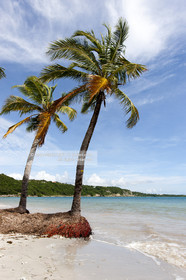 .Guadeloupe is a French overseas department located in the Antilles archipelago. The island is bordered on one side by the Caribbean Sea and the Atlantic Ocean ..The Guadeloupe is composed by two islands: Grande -Terre and Basse-Terre..Photo © Jean -Marie Liot