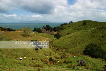 NOUVELLE ZELANDE - COROMANDEL