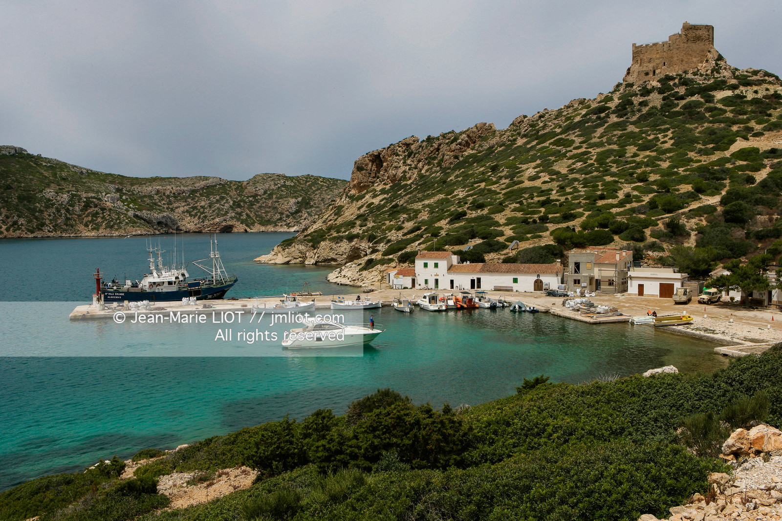 NEPTUNE-PRESTIGE 38S