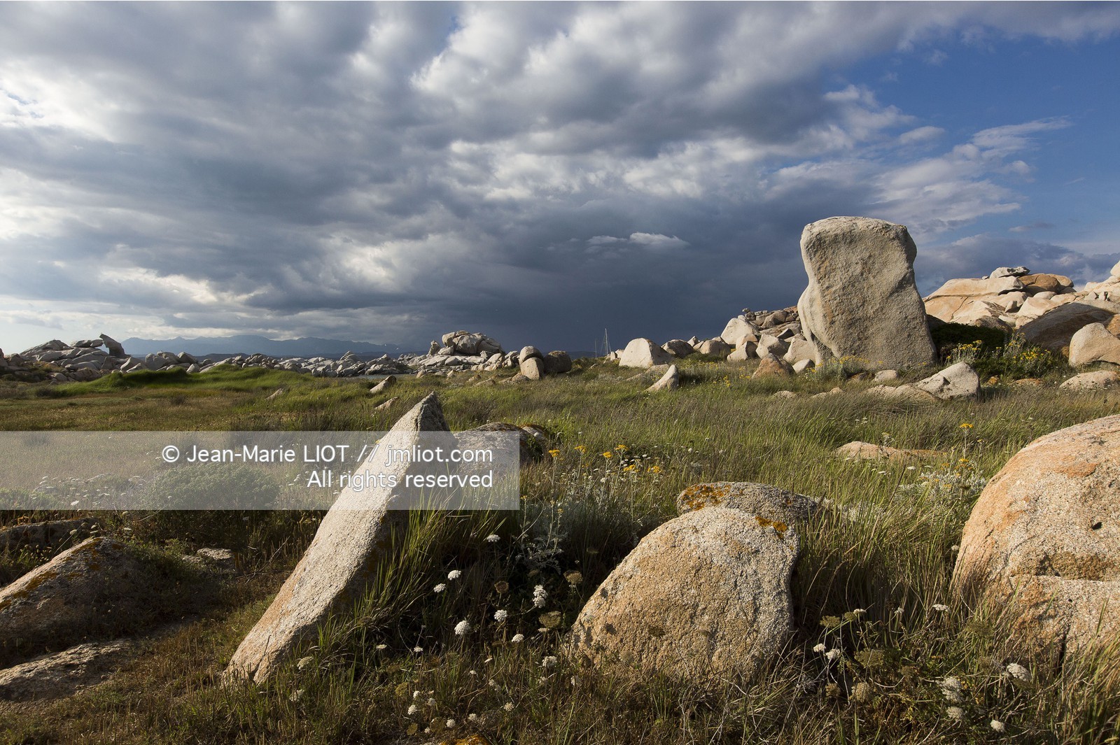 VOILES ET VOILIERS - CORSE DU SUD - LAVEZZI