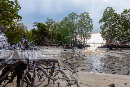 CROISIERE AUX ILES SEYCHELLES