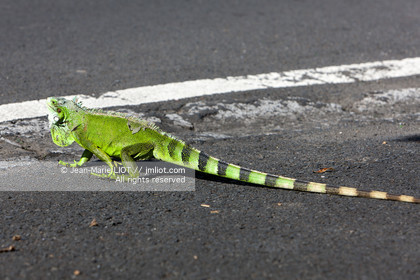 101107GUAD_4J9T0015 .jpg