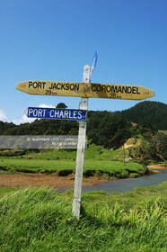 NOUVELLE ZELANDE - COROMANDEL