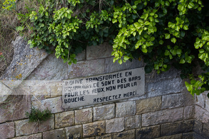 160429CHRTE_1JML6489