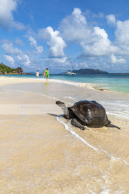 CROISIERE AUX ILES SEYCHELLES