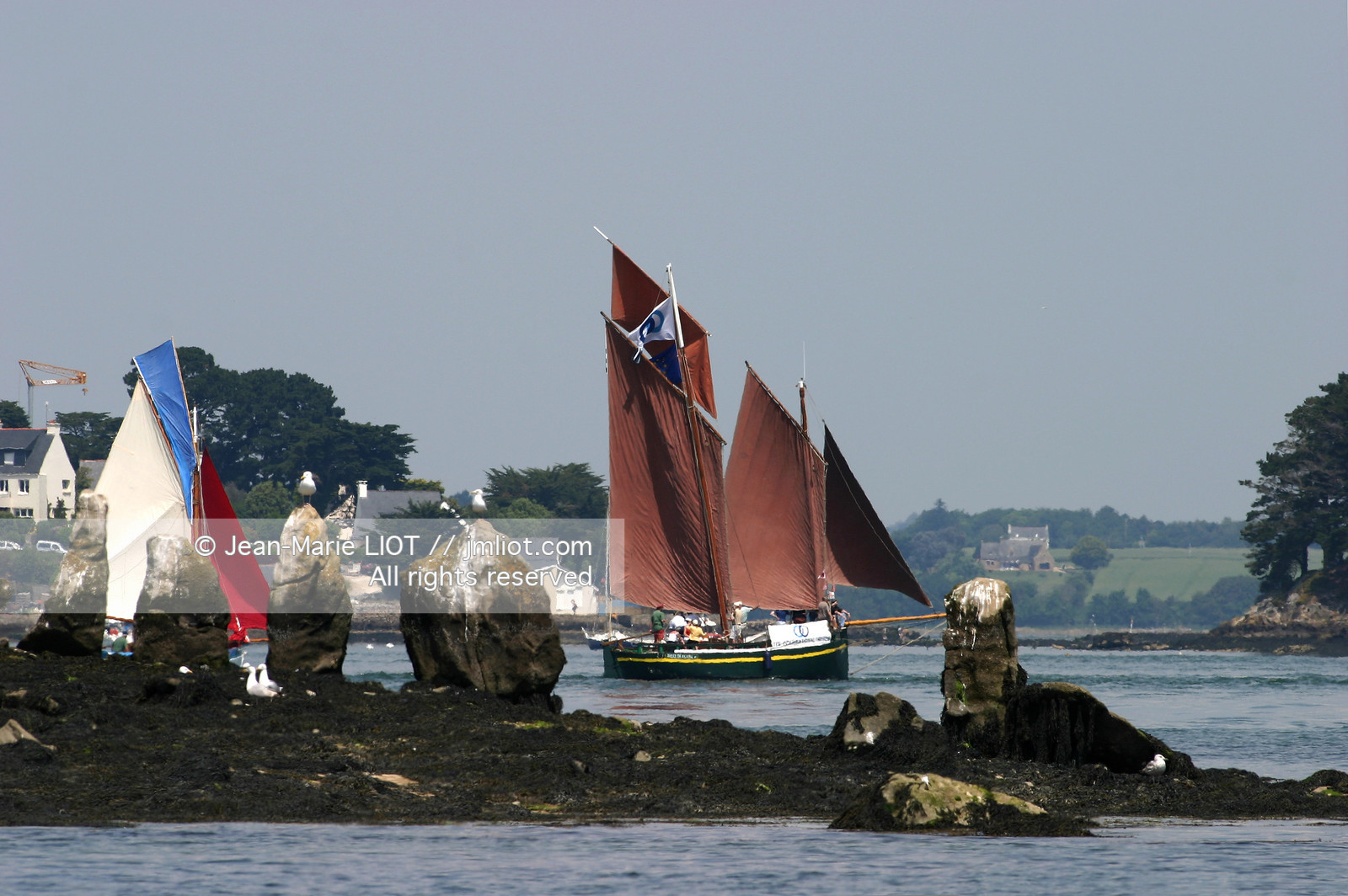 SEMAINE DU GOLFE DU MORBIHAN 2003