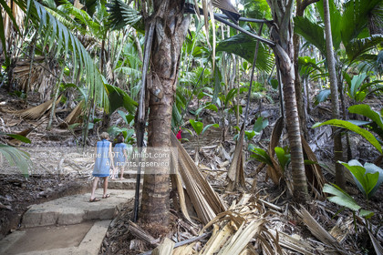 CROISIERE AUX ILES SEYCHELLES