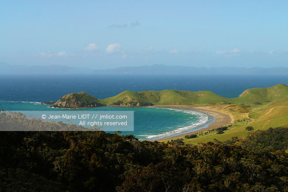 NOUVELLE ZELANDE - COROMANDEL