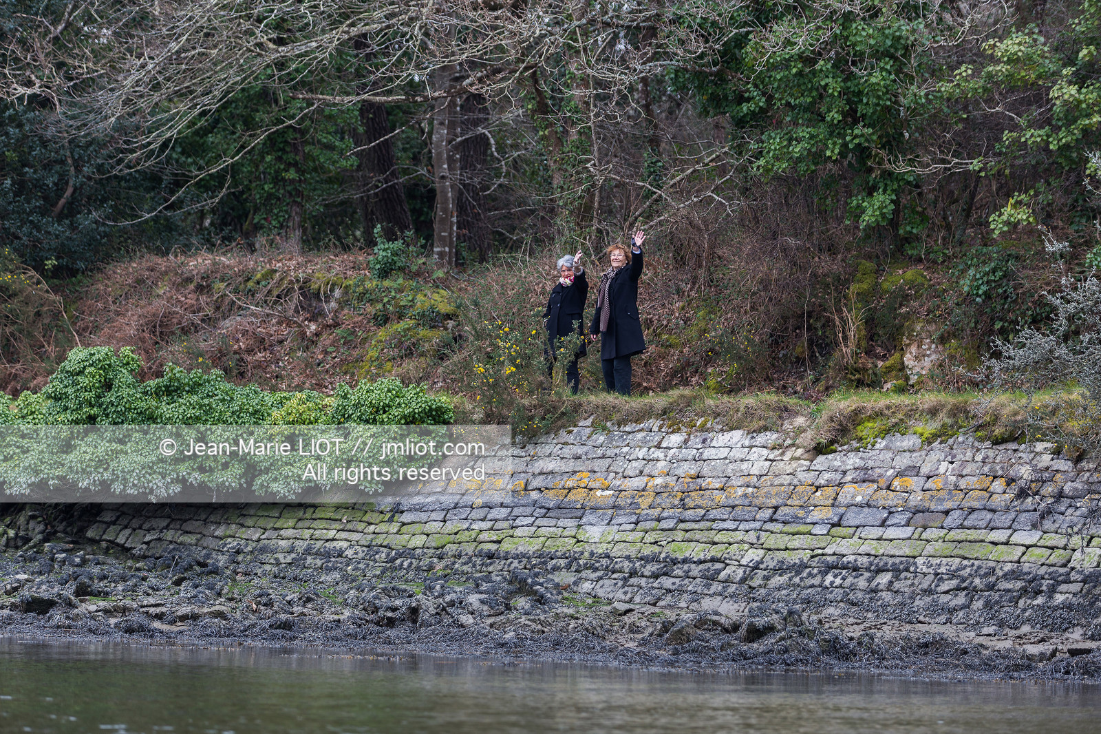 RIVIERE DE PONT LABBE - DECOUVERTE