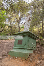 Port-Cros, au large d'Hyères dans le département du Var, petite île de 4 km de long est une réserve de la faune et la flore. Photo © Jean-Marie Liot.