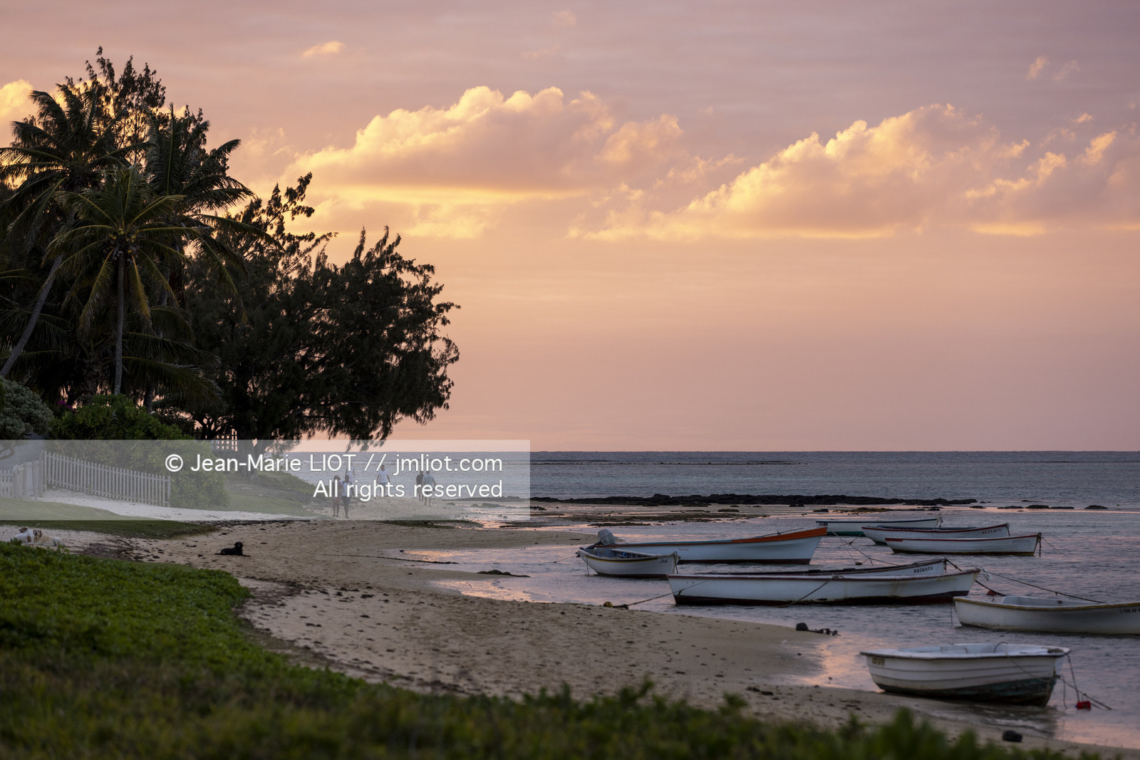 GLOBE40 - ILE MAURICE