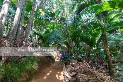 CROISIERE AUX ILES SEYCHELLES