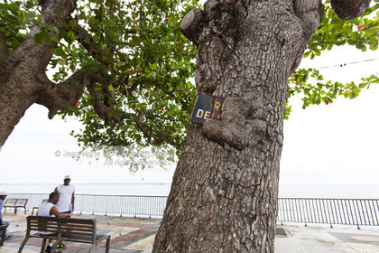 .Guadeloupe is a French overseas department located in the Antilles archipelago. The island is bordered on one side by the Caribbean Sea and the Atlantic Ocean ..The Guadeloupe is composed by two islands: Grande -Terre and Basse-Terre..Photo © Jean -Marie Liot