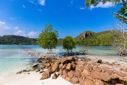 CROISIERE AUX ILES SEYCHELLES