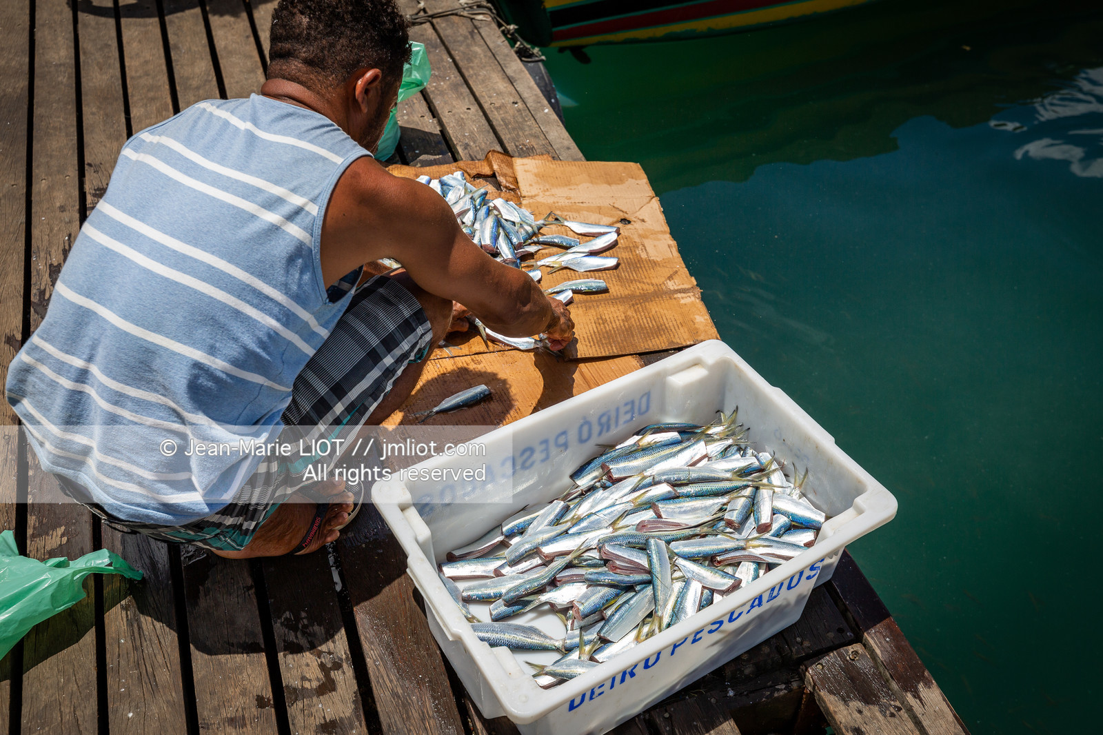 SALVADOR DE BAHIA-FOIRE DE SAO JOAQUIM