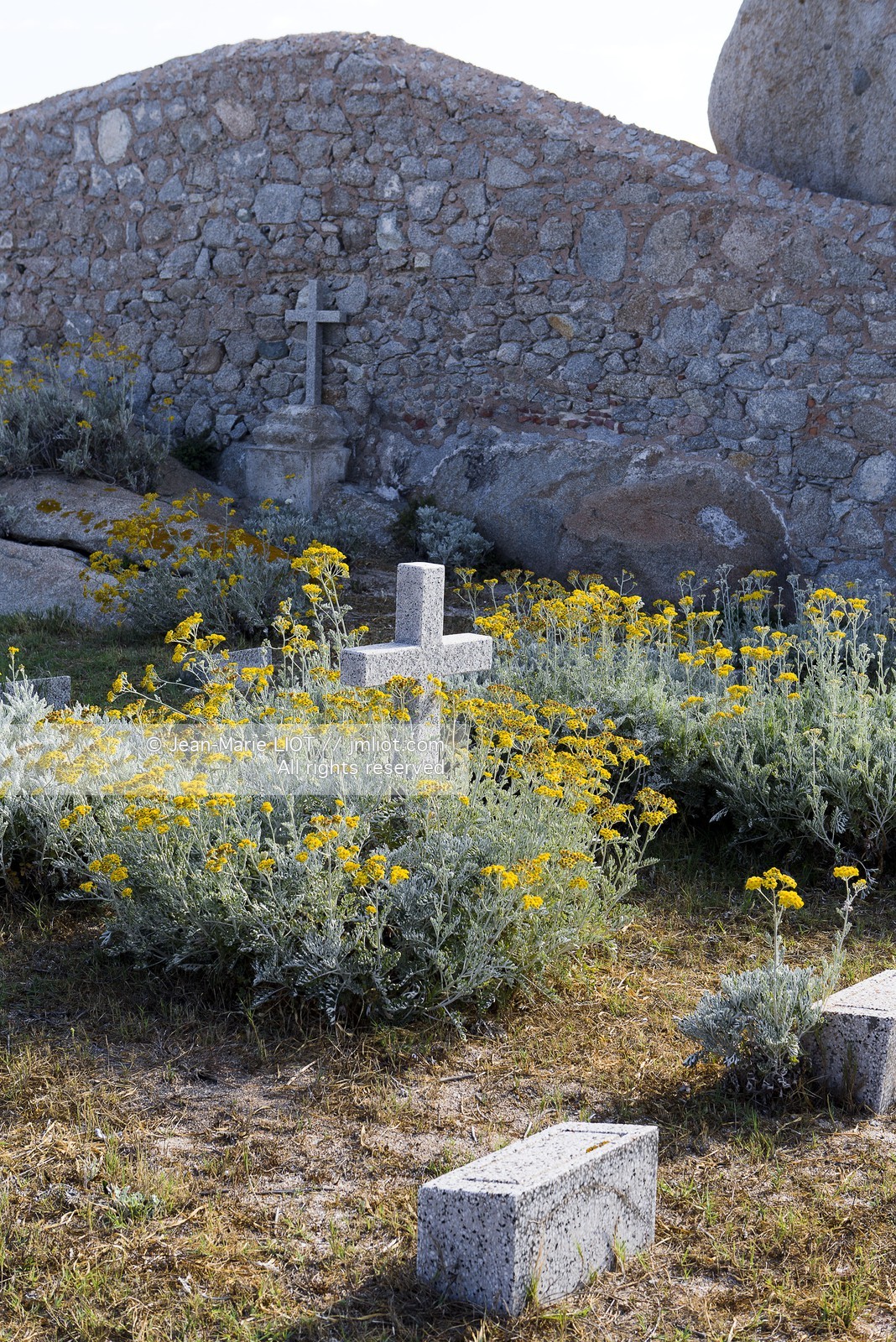 VOILES ET VOILIERS - CORSE DU SUD - LAVEZZI