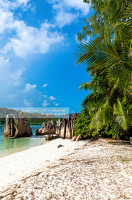 CROISIERE AUX ILES SEYCHELLES