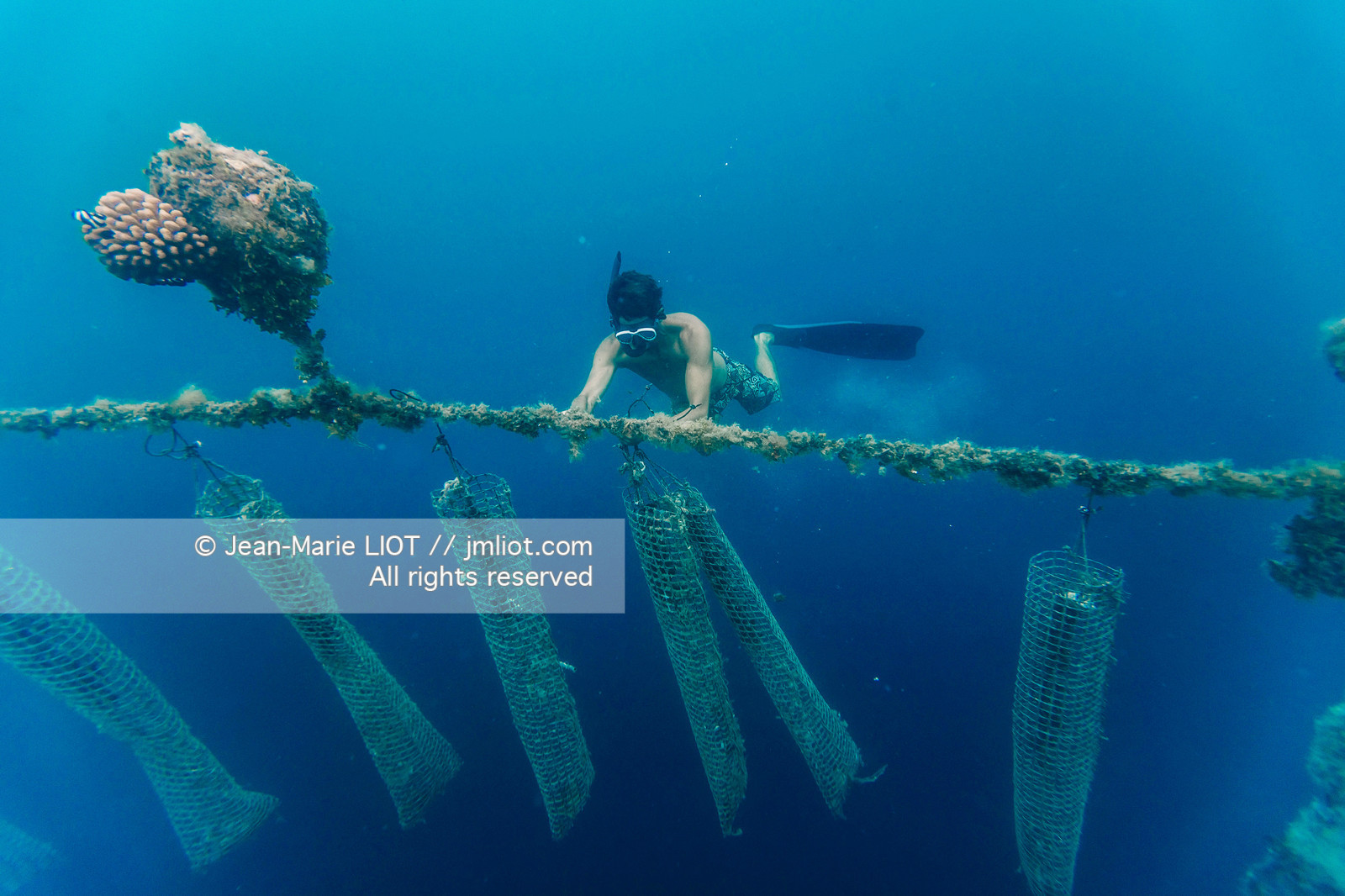 CROISIERE TAHITI - ILES DE LA SOCIETE