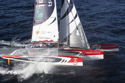 ROUTE DU RHUM 2014 - MULTI 50 FENETREA CARDINAL - ERWAN LE ROUX