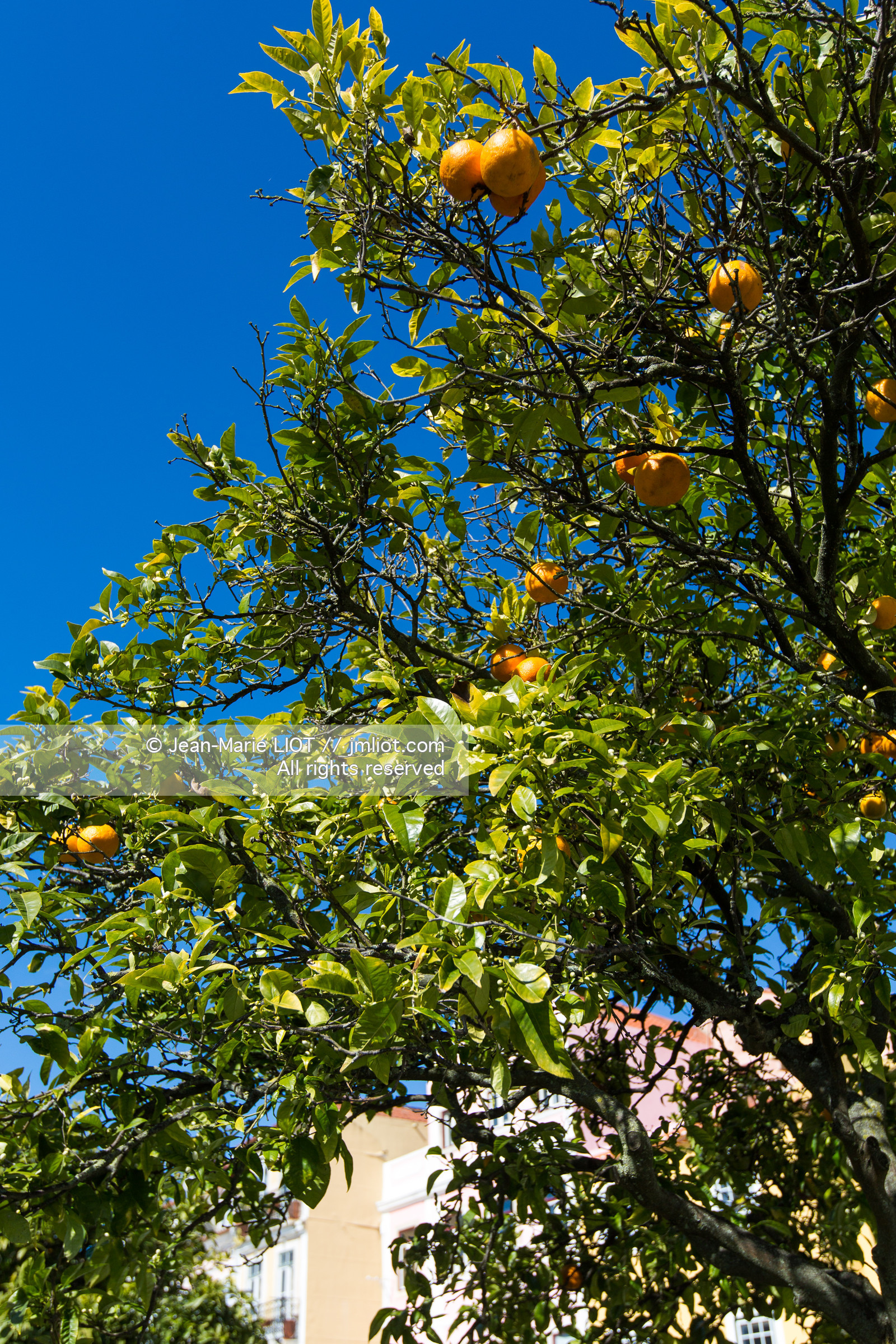 Lisbonne, capitale portugaise.